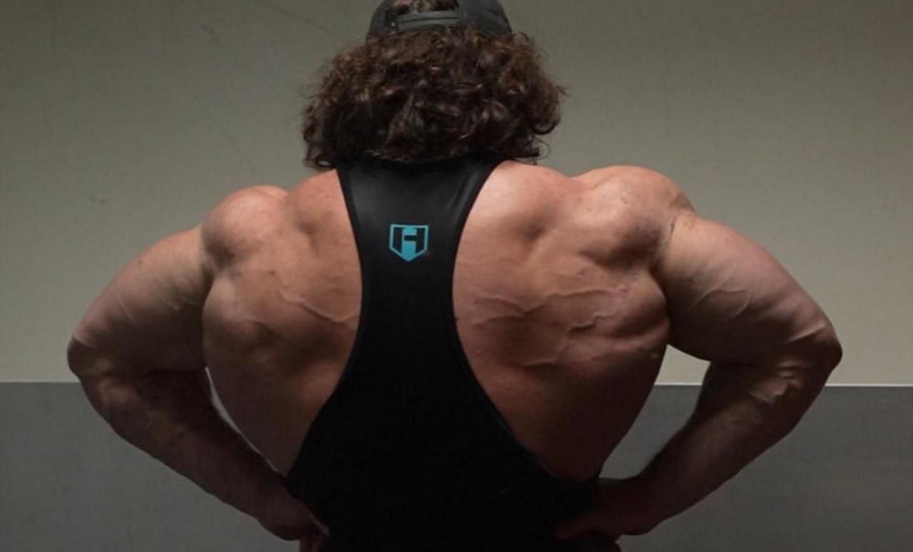 Sam Sulek's back (Image via Youtube)
